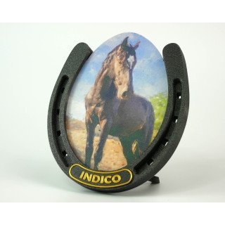 Horseshoe Frame in Sparky Black with Gold accent