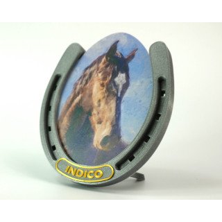 Horseshoe Frame in Sparky Silver